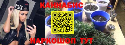 стафф Шахты