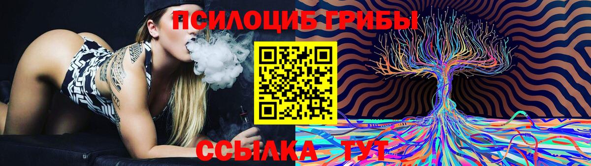 Псилоцибиновые грибы ЛСД Ахтубинск