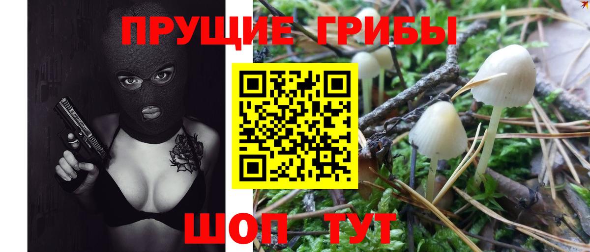 купить наркотик  Галлюциногенные грибы Magic Shrooms  Вход с VPN  Псилоцибиновые грибы мицелий  Ахтубинск 
